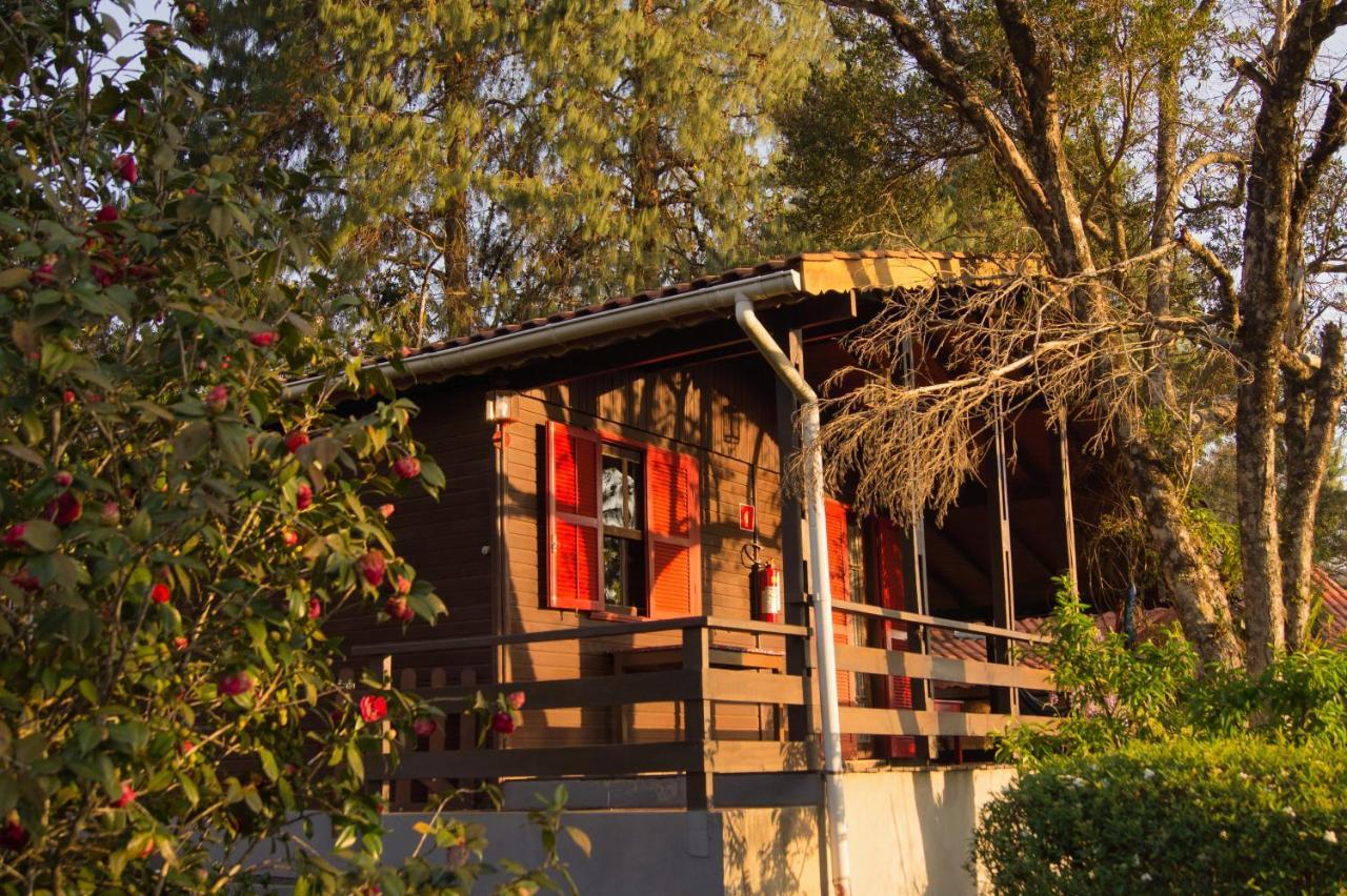 Inn Belvedere *
