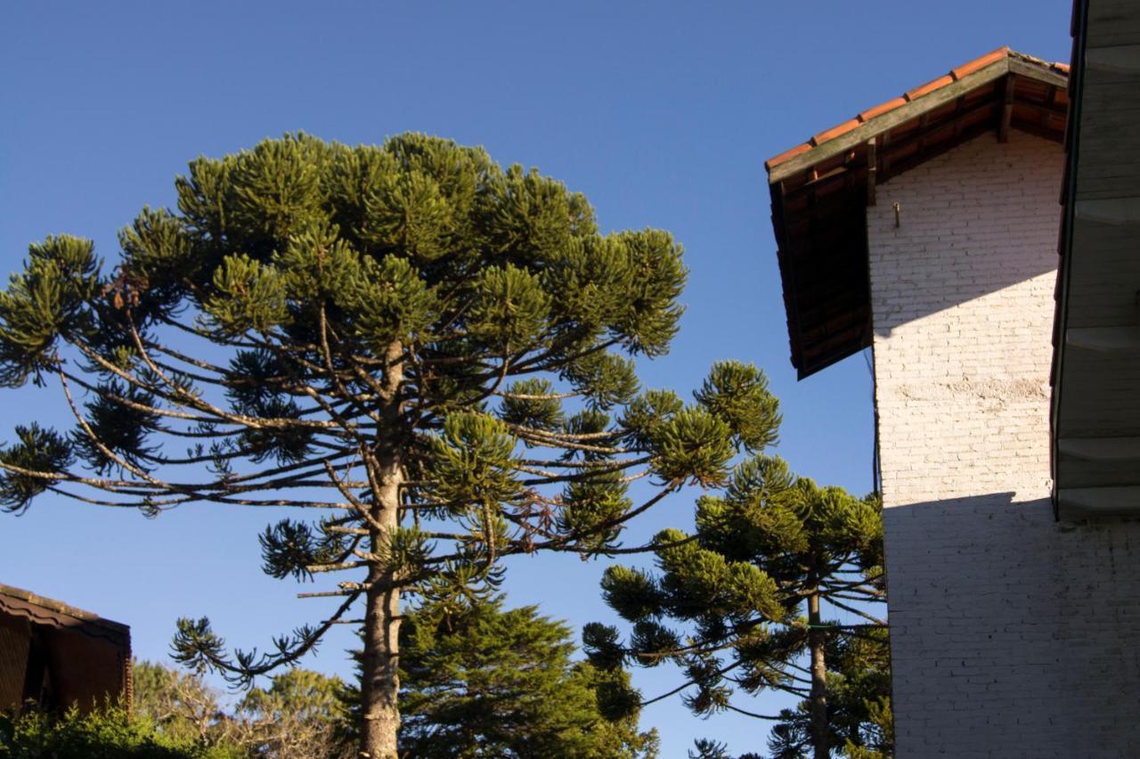 Belvedere * Monte Verde (Minas Gerais)