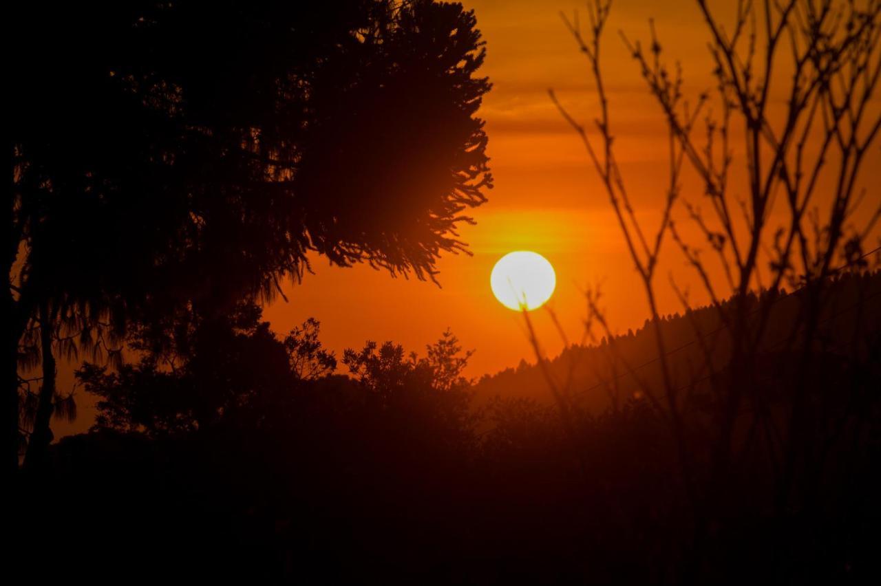 Belvedere Inn Monte Verde (Minas Gerais)